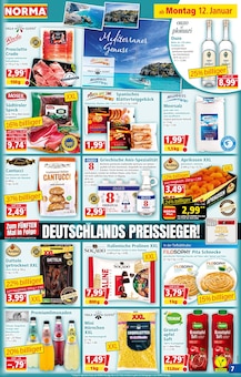 Zimmerpflanzen im Norma Prospekt "Mehr fürs Geld" mit 20 Seiten (Essen)