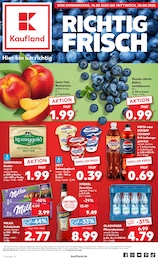 Kaufland Prospekt für Feldberger Seenlandschaft: "Aktuelle Angebote", 58 Seiten, 14.08.2025 - 20.08.2025