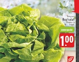 Aktuelles Kopfsalat Angebot bei E center in Wuppertal ab 1,00 €