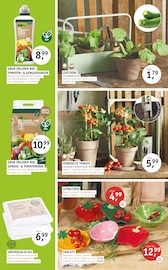 Aktueller ROSENGUT Langerwisch Prospekt mit Bio, "START IN DEN SOMMER!", Seite 6