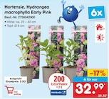 Aktuelle Hortensie Angebote bei Netto Marken-Discount in Karlsruhe Aktuelles Hortensie, Hydrangea macrophylla Early Pink Angebot bei Netto Marken-Discount in Karlsruhe ab 5,50 €