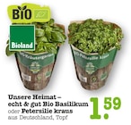 Aktuelle Kräuter Angebote bei E center in Mannheim Aktuelles Bio Basilikum Angebot bei E center in Mannheim ab 1,59 €
