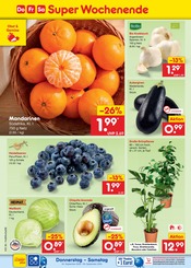Ähnliche Poolzubehör Angebote im Prospekt "Aktuelle Angebote" von Netto Marken-Discount in Braunschweig Ähnliche Angebote wie Poolzubehör im Prospekt "Aktuelle Angebote" auf Seite 52 von Netto Marken-Discount in Braunschweig