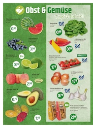V-Markt Bio Limetten im Prospekt V-Markt Bio Limetten im Prospekt
