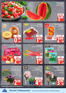 Äpfel im E center Prospekt "Top Angebote" mit 30 Seiten (Lübeck)