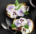 Hornveilchen für 3,59 € bei Pflanzen Kölle im Angebot Hornveilchen im aktuellen Pflanzen Kölle Prospekt