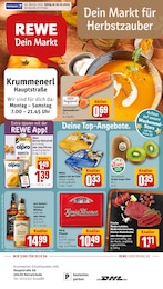 REWE Prospekt mit 33 Seiten