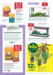 Offre Aquariums dans le catalogue Truffaut du moment à la page 5