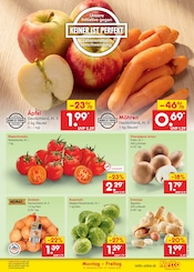 Champignons im Netto Marken-Discount Prospekt in Hannover Aktueller Netto Marken-Discount Prospekt mit Champignons, "Aktuelle Angebote", Seite 5