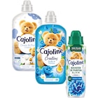 SUR TOUT - CAJOLINE dans le catalogue Carrefour Market