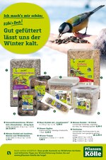 Pflanzen Kölle Prospekt für Potsdam mit 1 Seiten Pflanzen Kölle Prospekt für Potsdam: "Gut gefüttert lässt uns der Winter kalt!", 1 Seiten, 22.10.2020 - 04.11.2020