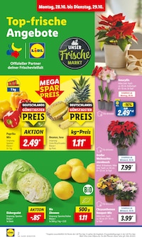 Blumen im Lidl Prospekt "LIDL LOHNT SICH" mit 61 Seiten (Hannover)