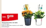 Kalanchoé déco de table en promo chez Carrefour Évreux à 5,99 €