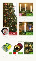 Pflanzen Kölle Weihnachtsbeleuchtung im Prospekt Pflanzen Kölle Weihnachtsbeleuchtung im Prospekt