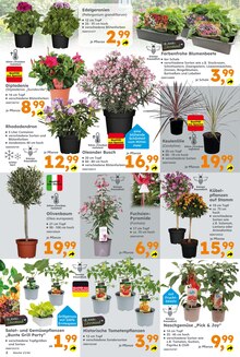 Pflanzen im Globus-Baumarkt Prospekt "Immer eine Idee besser" mit 17 Seiten (Augsburg)