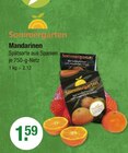 Mandarinen von Sommergarten im aktuellen V-Markt Prospekt für 1,59 €