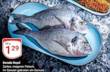 Dorade Royal für 1,29 € bei GLOBUS im Angebot Dorade Royal im aktuellen GLOBUS Prospekt