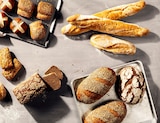 Vollkorn Toast von Harry für 1,39 € bei REWE im Angebot Vollkorn Toast von Harry im aktuellen REWE Prospekt