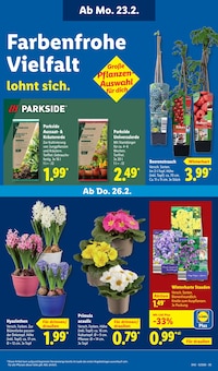 Blumenerde im Lidl Prospekt "LIDL LOHNT SICH" mit 67 Seiten (Regensburg)