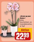 Aktuelles »Green up your Home« Angebot bei REWE in Bochum ab 22,99 €