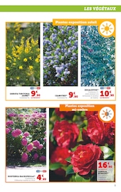 Hortensia Angebote im Prospekt "LES PRIX BAS du jardin" von Hyper U auf Seite 5