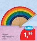Fächer Regenbogen im aktuellen budni Prospekt