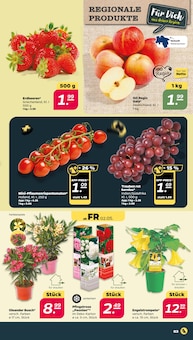 Äpfel im aktuellen Netto mit dem Scottie Prospekt (Chemnitz) Äpfel im Netto mit dem Scottie Prospekt "Günstig. Besser. Für Dich." mit 40 Seiten (Chemnitz)