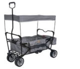 Klapp-Bollerwagen „Paxi“ mit Sonnendach Angebote von Pinolino bei Raiffeisenmarkt Ibbenbüren für 114,00 €