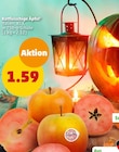 Penny Flein Prospekt mit  im Angebot für 1,59 €