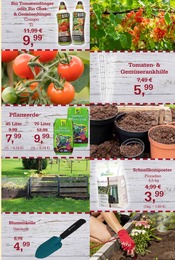 Aktueller Garten-Center Nordharz GmbH & Co. KG Prospekt mit Gartenerde, "SUMMER TIME!", Seite 13