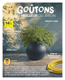 Offre Plantes dans le catalogue Carrefour Market du moment à la page 22