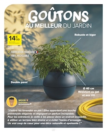 Promo Plante En Pot dans le catalogue Carrefour Market du moment à la page 22