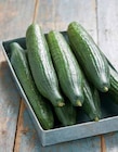 Concombre - Intermarché à Mérignac Concombre en promo chez Intermarché Mérignac à 2,25 €