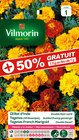 Promo Semences Vilmorin à  dans le catalogue Gamm vert à Bailleul