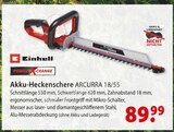 Akku-Heckenschere ARCURRA 18/55 bei bauSpezi im Parsberg Prospekt für 89,99 €