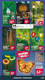 Ähnliche Folienballon Angebote im Prospekt "Günstig. Besser. Für Dich." von Netto mit dem Scottie Ähnliches Angebot bei Netto mit dem Scottie in Prospekt "Günstig. Besser. Für Dich." gefunden auf Seite 19