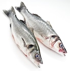 Wolfsbarsch von METRO Chef für 14,17 € bei METRO im Angebot Wolfsbarsch von METRO Chef im aktuellen METRO Prospekt