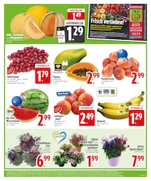 Pfirsiche Angebot im aktuellen EDEKA Prospekt auf Seite 5