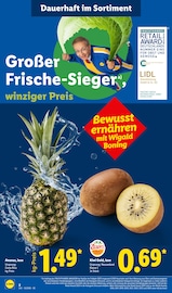 Obst im Lidl Prospekt in Rostock Aktueller Lidl Prospekt mit Obst, "LIDL LOHNT SICH", Seite 2