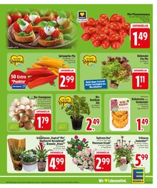 Paprika im aktuellen EDEKA Prospekt (Ingolstadt) Paprika im EDEKA Prospekt "Wir lieben Lebensmittel." mit 28 Seiten (Ingolstadt)