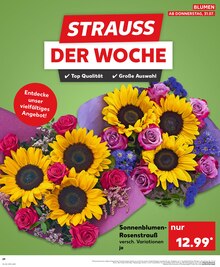 Blumen im Kaufland Prospekt "Aktuelle Angebote" mit 36 Seiten (Cottbus)