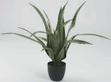 Plante artificielle CELIUS en promo chez Jysk Plante artificielle CELIUS dans le catalogue Jysk