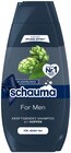 Shampoo Angebote von Schauma bei Penny Stralsund für 2,99 €
