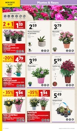 Plantes Angebote im Prospekt "LES Journées Opportunités LE PODIUM DES BONS PLANS" von Lidl auf Seite 2