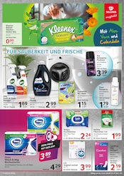 Steine im Selgros Prospekt in Frankenthal Aktueller Selgros Prospekt mit Steine, "cash & carry", Seite 19