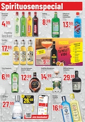 Gin im Trinkgut Prospekt in Neustadt Aktueller Trinkgut Prospekt mit Gin, "Aktuelle Angebote", Seite 7