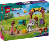 SUR TOUT - LEGO FRIENDS dans le catalogue Carrefour Market