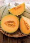 MELON CHARENTAIS VERT à Intermarché dans Essay