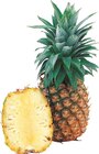 Elfenbeinküste Ananas Extra Sweet Angebote bei EDEKA Osnabrück für 2,99 €