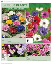 Fleurs Angebote im Prospekt "JARDIN LÀ OÙ LA VIE SE CULTIVE" von Carrefour auf Seite 6